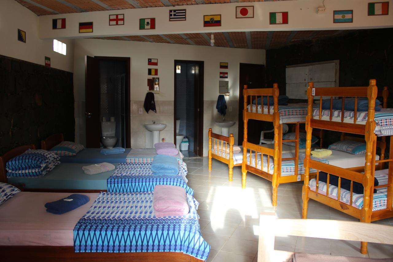 Bunk Bed in Mixed Dormitory Room,718467304:JPEG